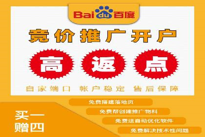 解析SEM托管公司经典案例：如何制定有效的广告策略